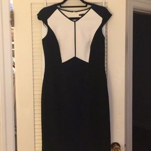 Ann Taylor Dress